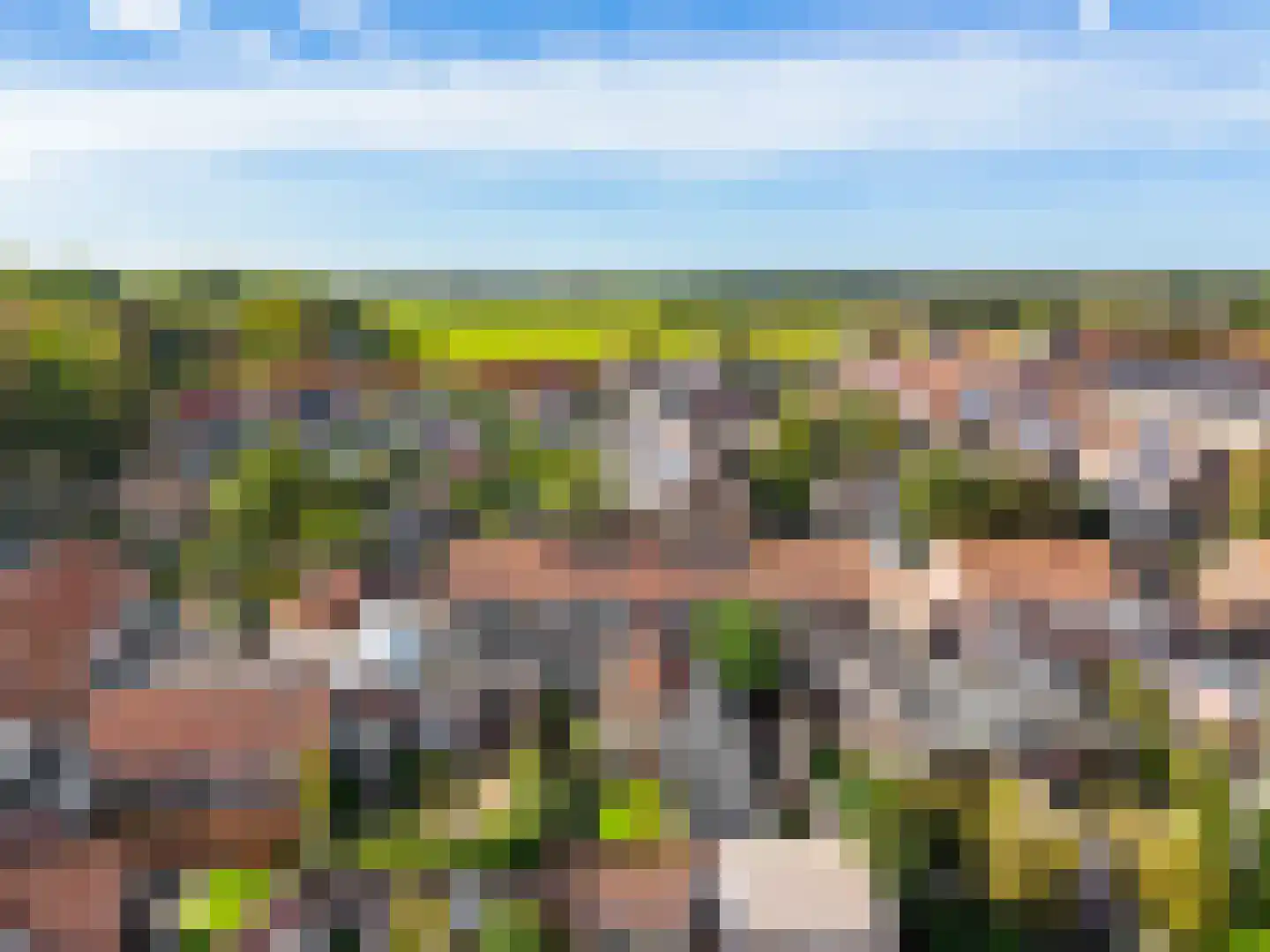 Esdoornlaan 4 Egmond-Binnen thumbnail 48