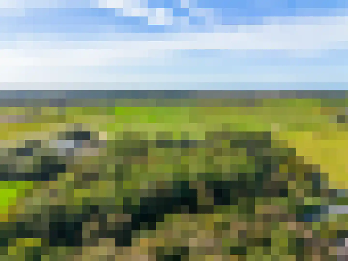 Esdoornlaan 4 Egmond-Binnen thumbnail 49
