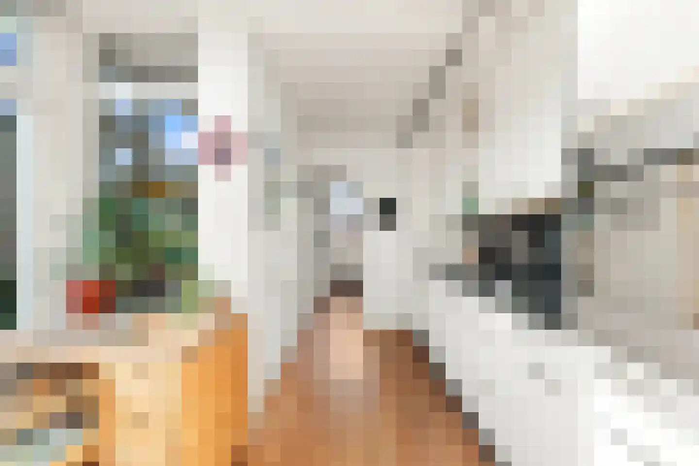 Esdoornlaan 4 Egmond-Binnen thumbnail 5