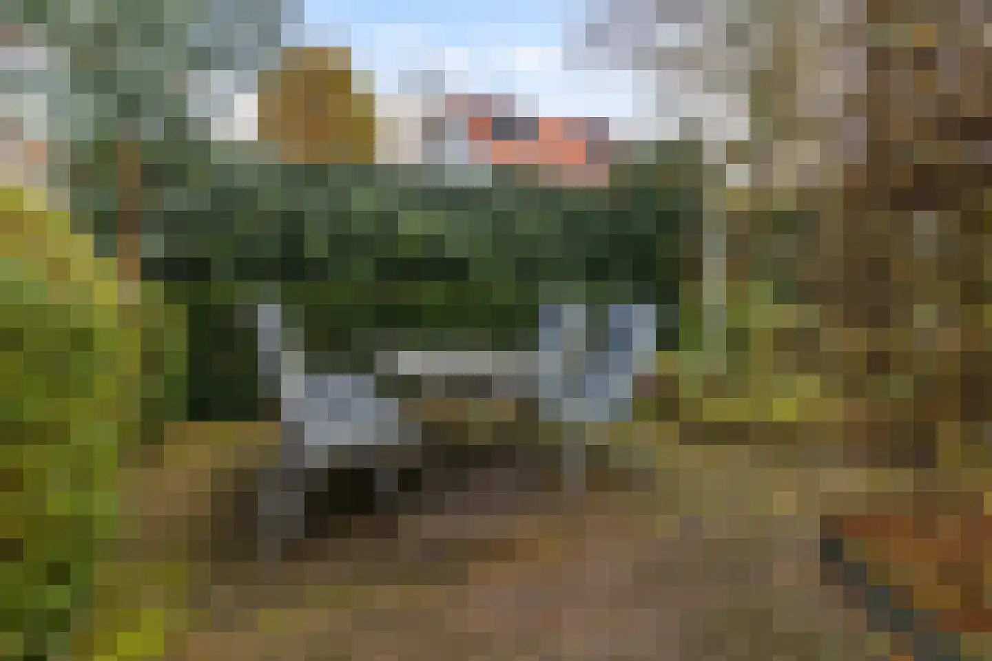 Esdoornlaan 4 Nunspeet thumbnail 29