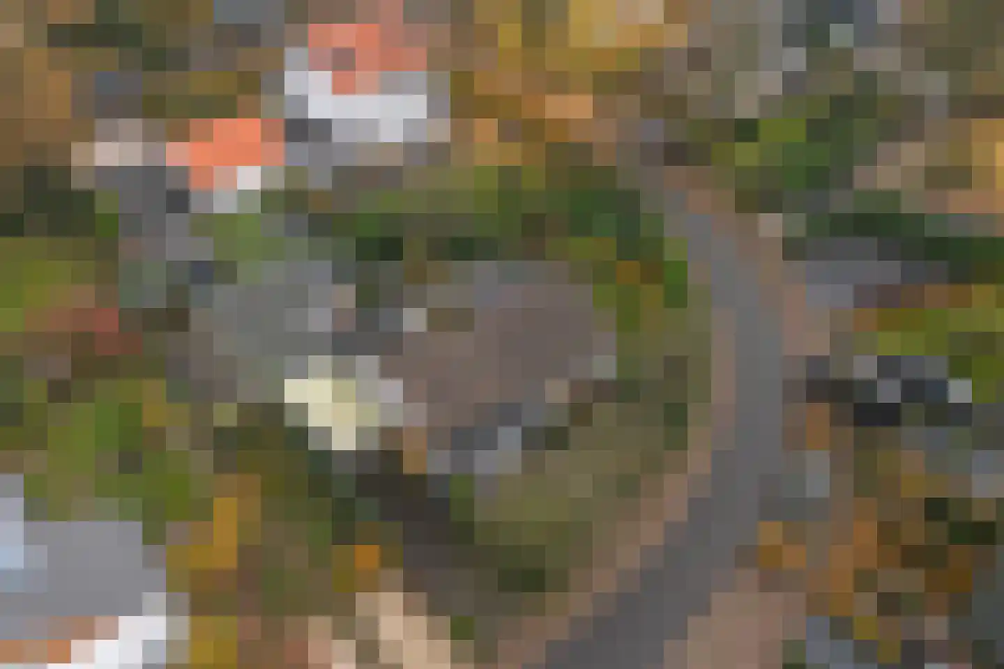 Esdoornlaan 4 Nunspeet thumbnail 36
