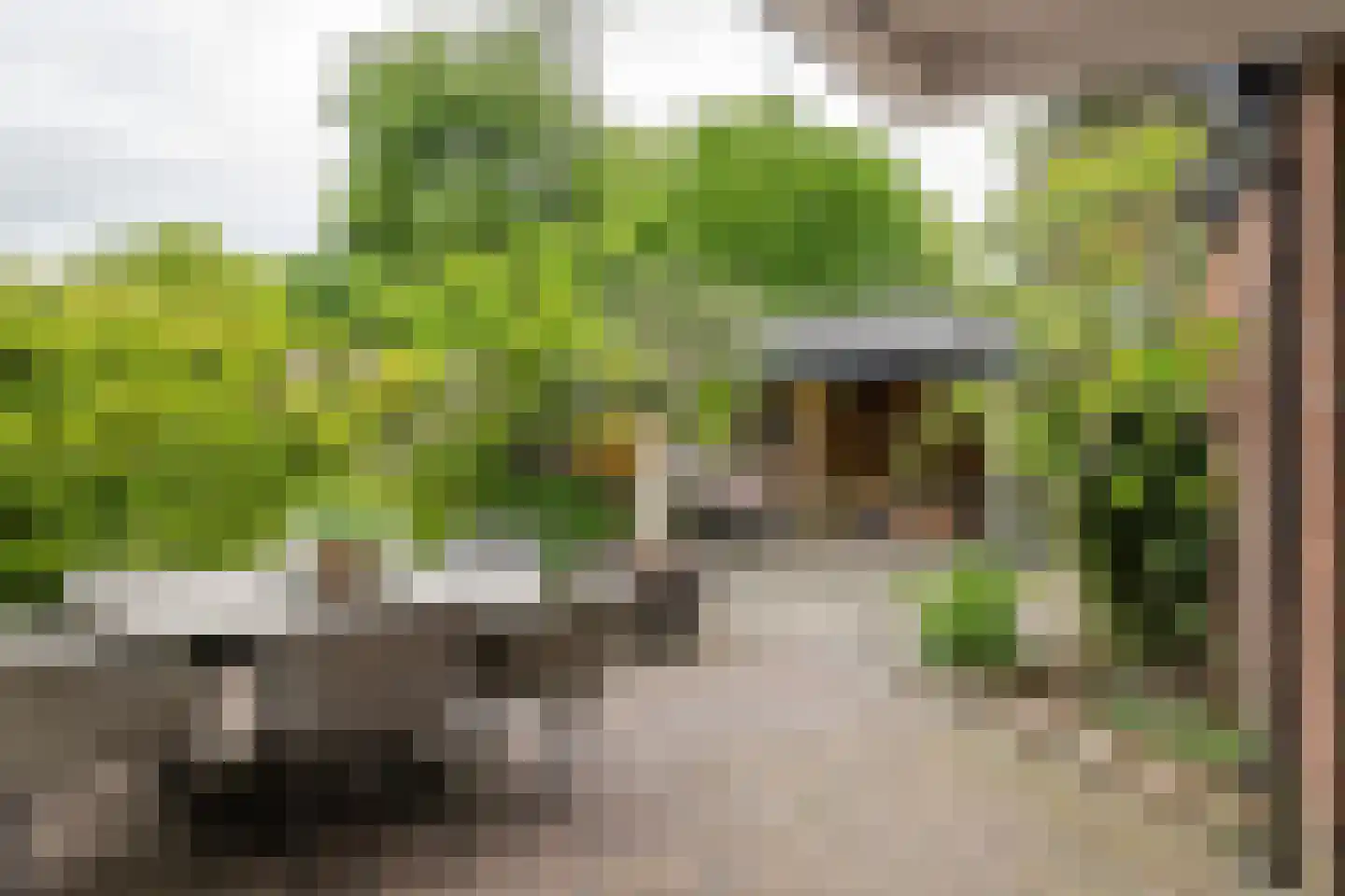 Esdoornlaan 4 Renswoude foto 2