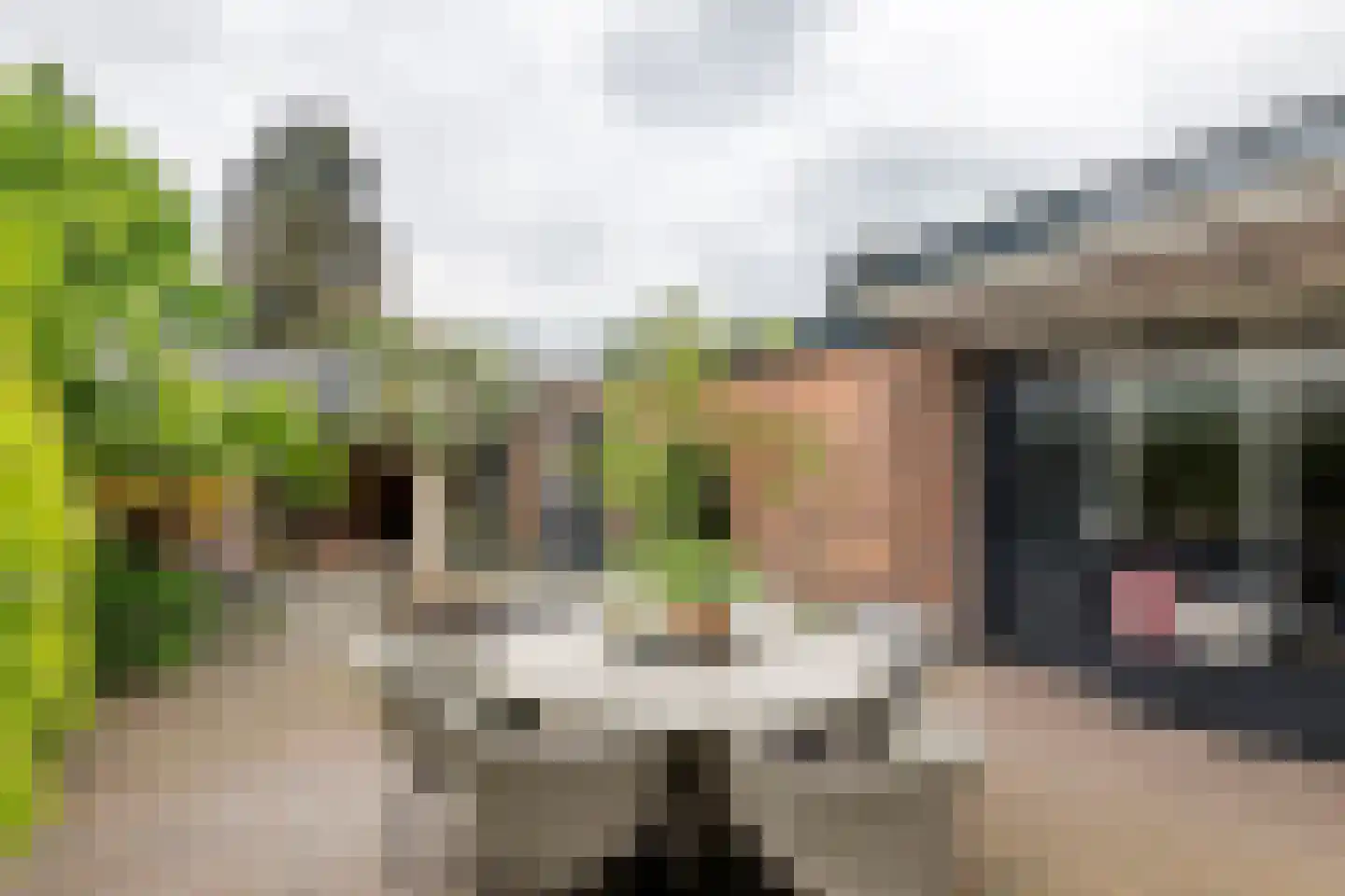 Esdoornlaan 4 Renswoude thumbnail 20