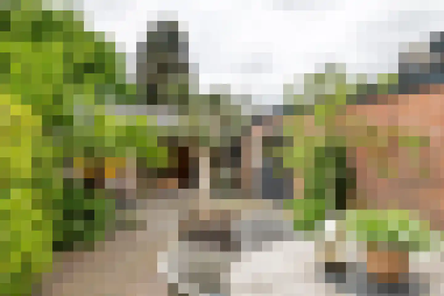 Esdoornlaan 4 Renswoude thumbnail 21