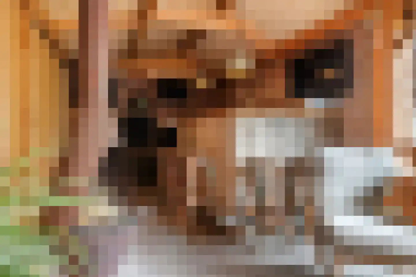 Esdoornlaan 4 Renswoude thumbnail 24
