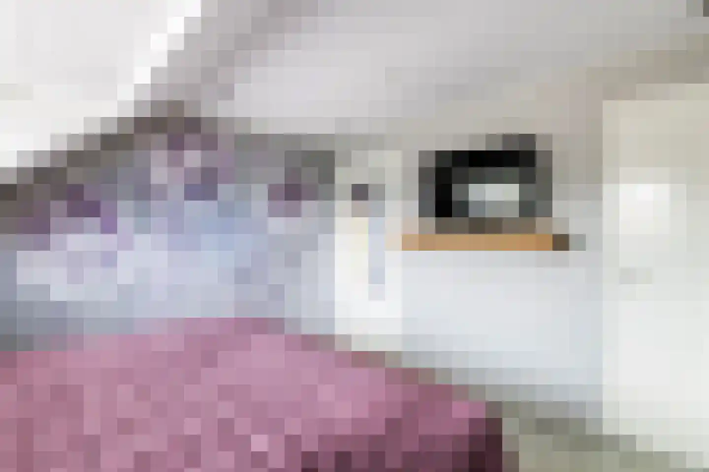 Esdoornlaan 4 Renswoude thumbnail 29