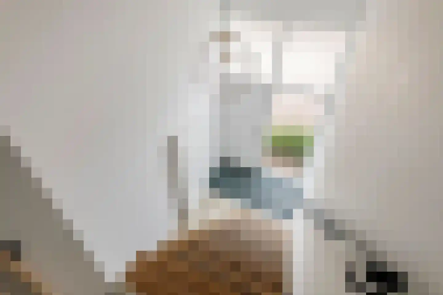 Esdoornlaan 4 Renswoude thumbnail 36