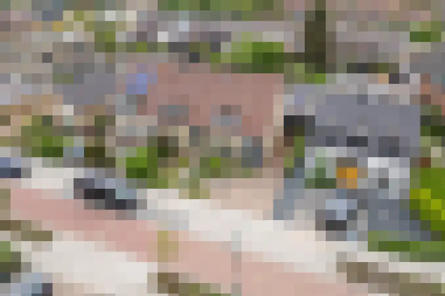 Esdoornlaan 4 Renswoude thumbnail 38