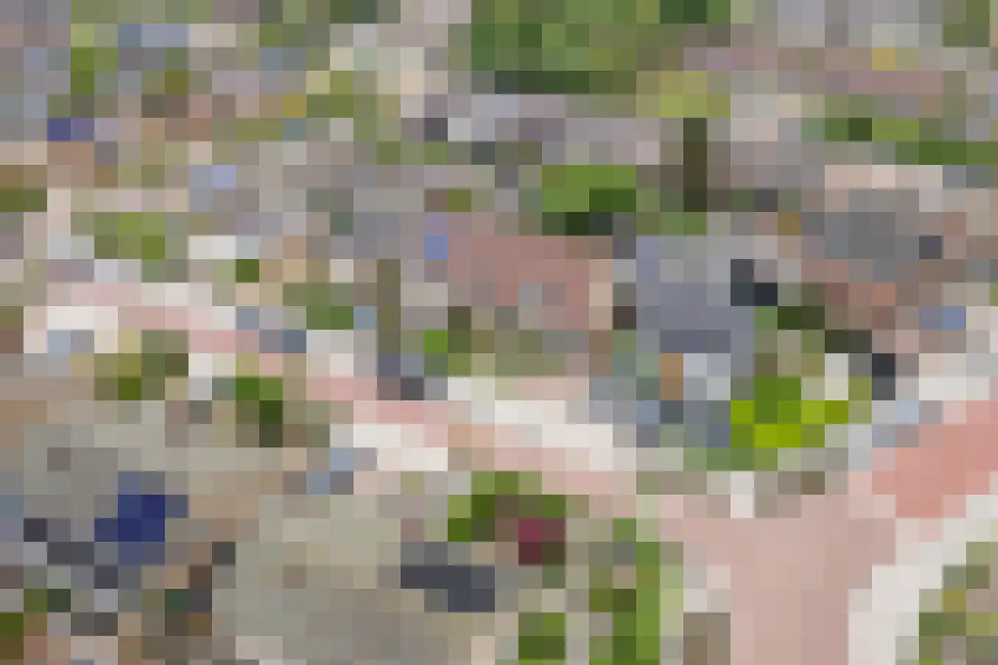 Esdoornlaan 4 Renswoude thumbnail 39