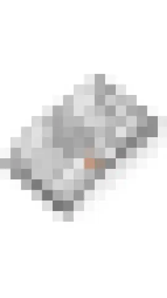 Esdoornlaan 4 Renswoude thumbnail 43