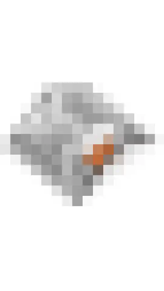 Esdoornlaan 4 Renswoude thumbnail 45