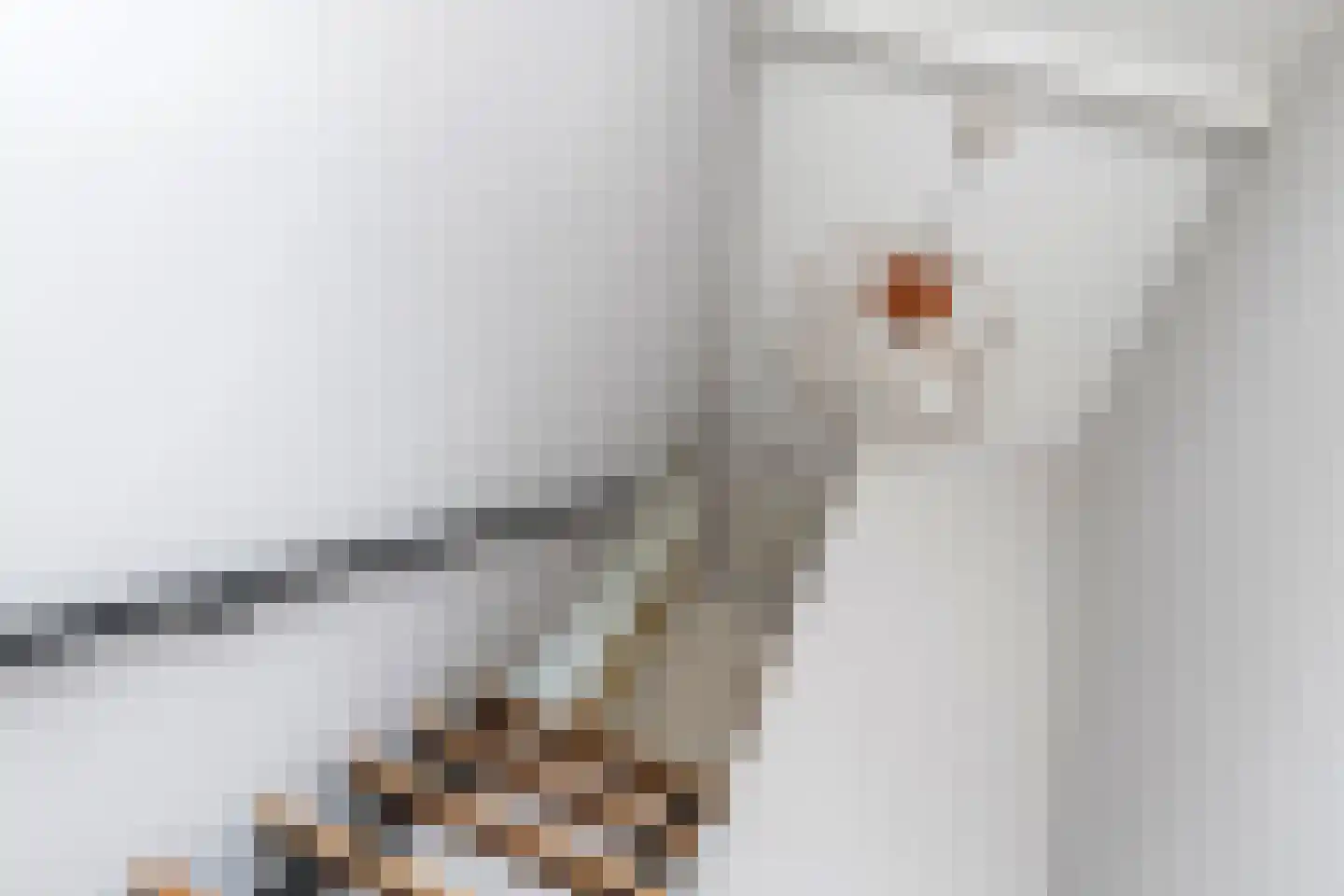 Esdoornlaan 4 Renswoude thumbnail 7