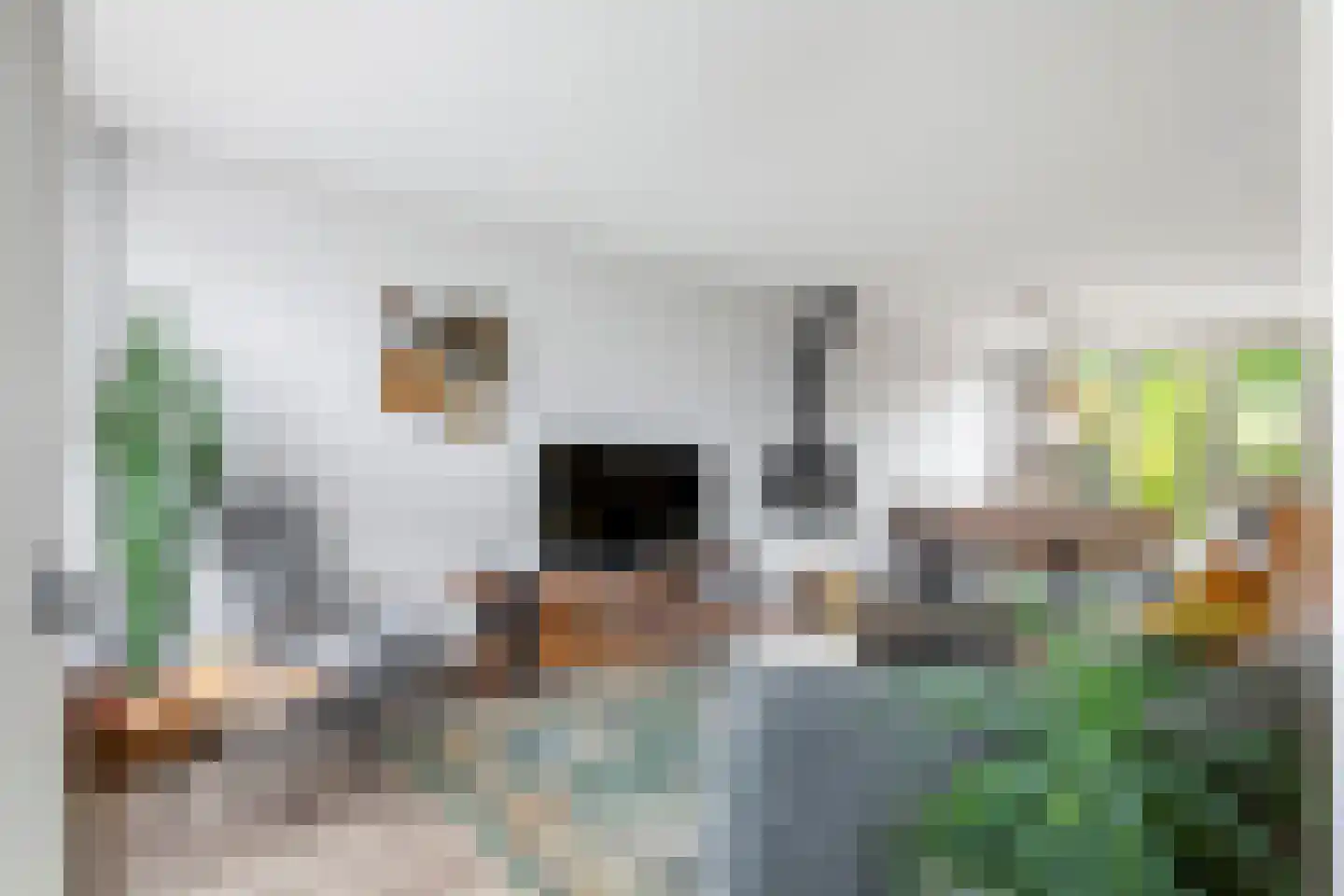 Esdoornlaan 4 Renswoude thumbnail 8