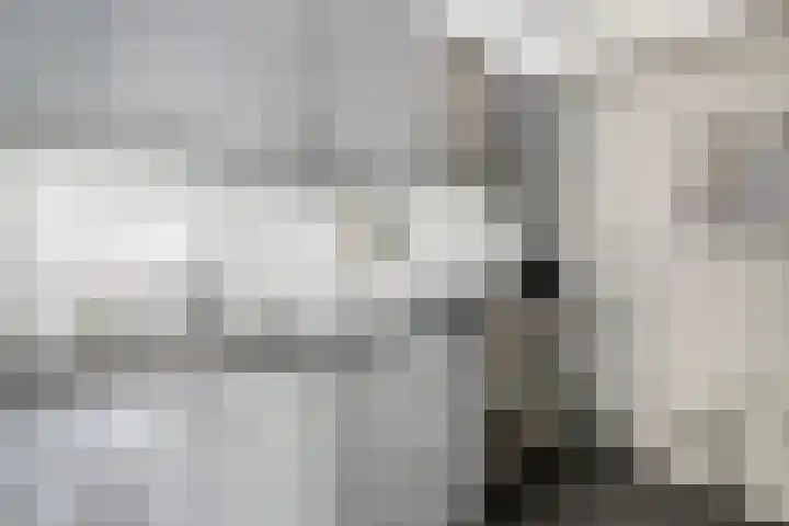 Esdoornlaan 4 Vlodrop thumbnail 11