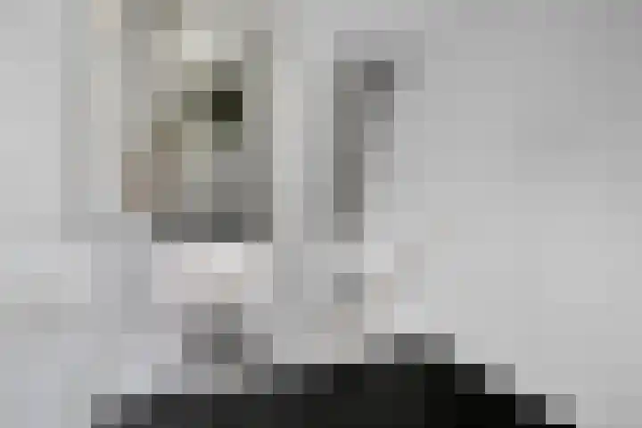Esdoornlaan 4 Vlodrop thumbnail 12