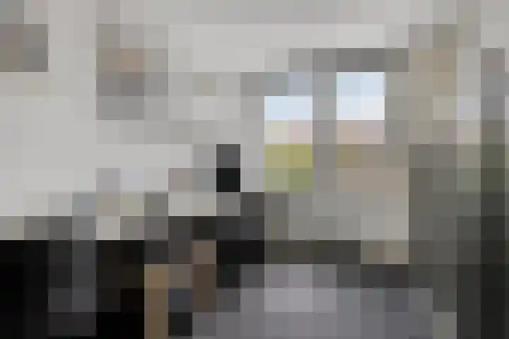 Esdoornlaan 4 Vlodrop thumbnail 13