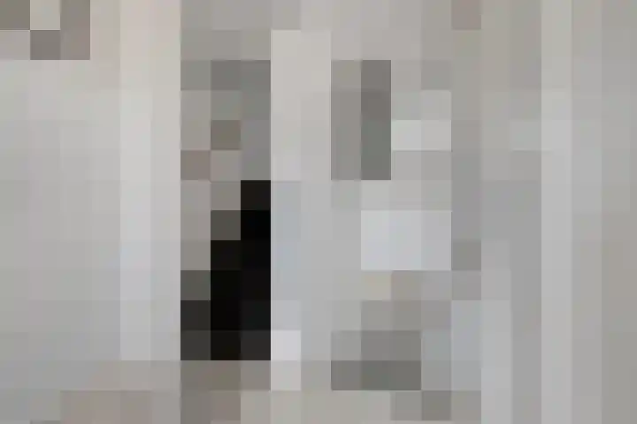 Esdoornlaan 4 Vlodrop foto 2