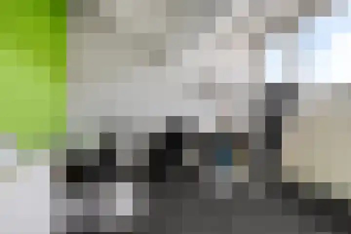 Esdoornlaan 4 Vlodrop thumbnail 20