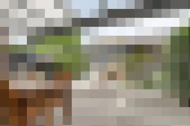 Esdoornlaan 4 Vlodrop thumbnail 24
