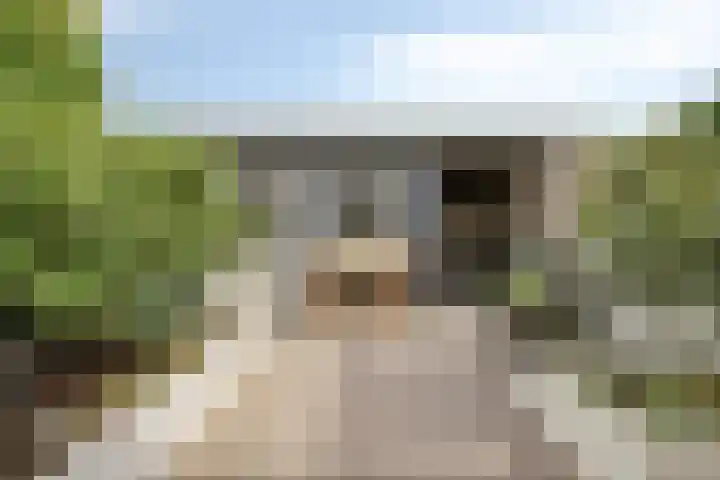 Esdoornlaan 4 Vlodrop thumbnail 26