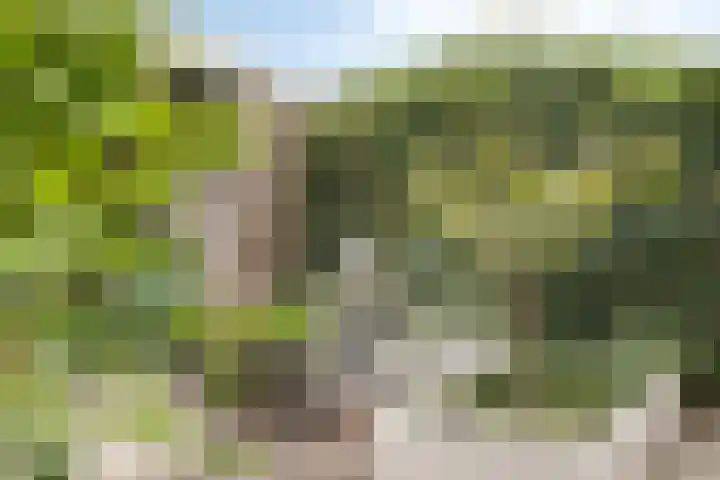 Esdoornlaan 4 Vlodrop thumbnail 27