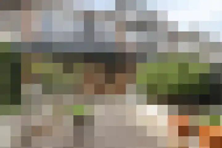 Esdoornlaan 4 Vlodrop thumbnail 29