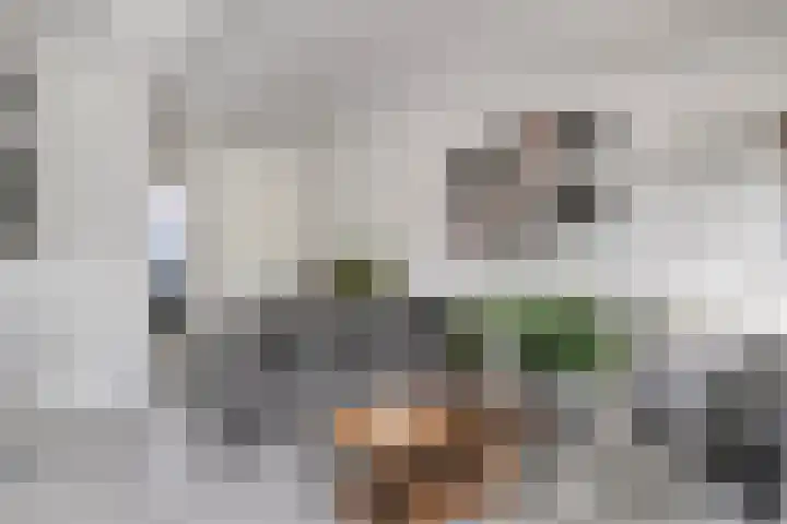 Esdoornlaan 4 Vlodrop thumbnail 4