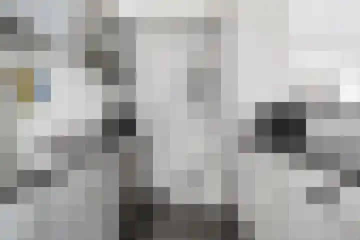 Esdoornlaan 4 Vlodrop thumbnail 9