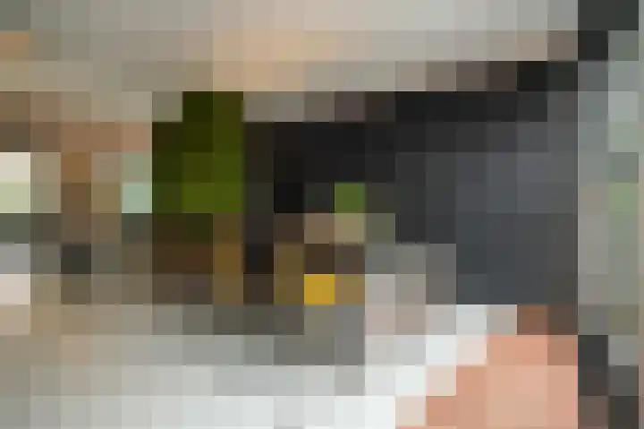 Esdoornlaan 4 Vught thumbnail 13