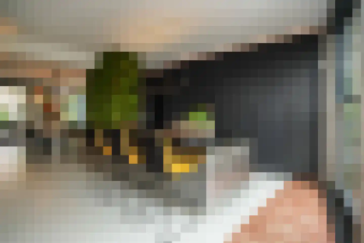 Esdoornlaan 4 Vught thumbnail 14