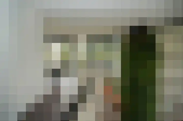 Esdoornlaan 4 Vught thumbnail 27