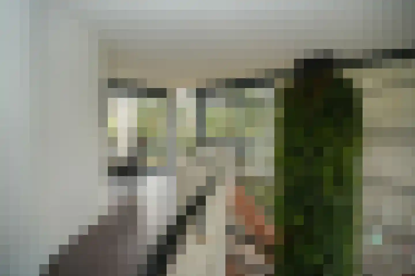 Esdoornlaan 4 Vught thumbnail 28