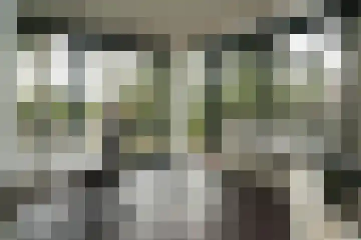 Esdoornlaan 4 Vught thumbnail 28