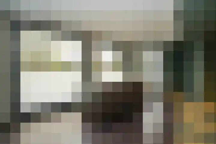 Esdoornlaan 4 Vught thumbnail 35