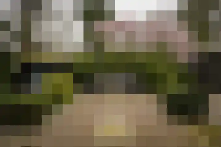 Esdoornlaan 4 Vught thumbnail 46