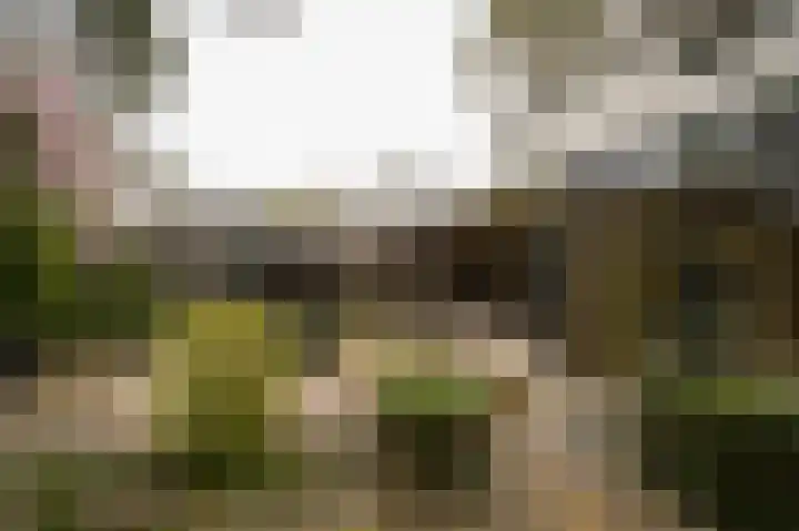 Esdoornlaan 4 Vught thumbnail 47