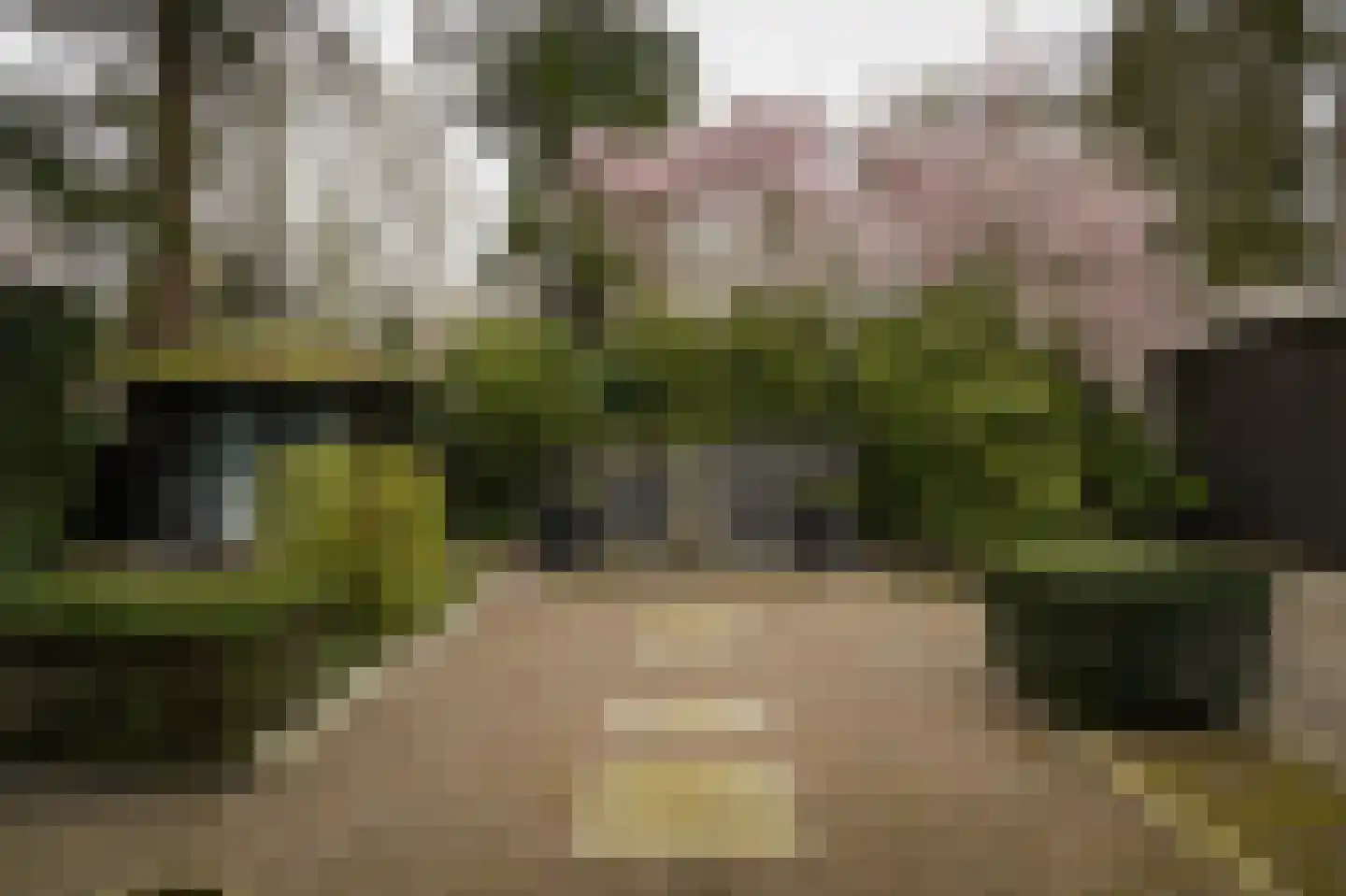 Esdoornlaan 4 Vught thumbnail 47