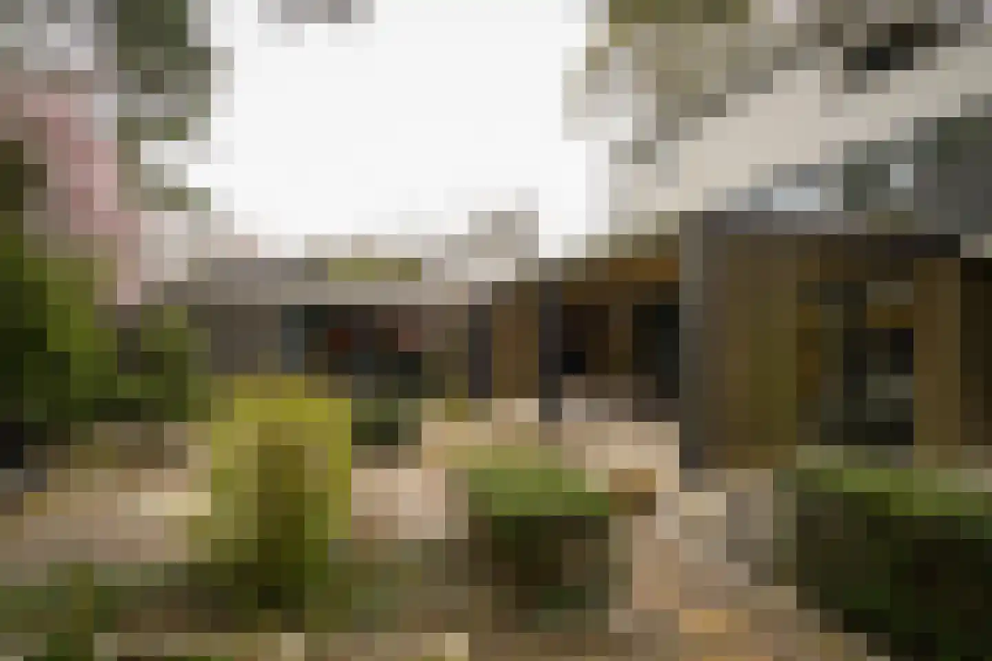 Esdoornlaan 4 Vught thumbnail 48