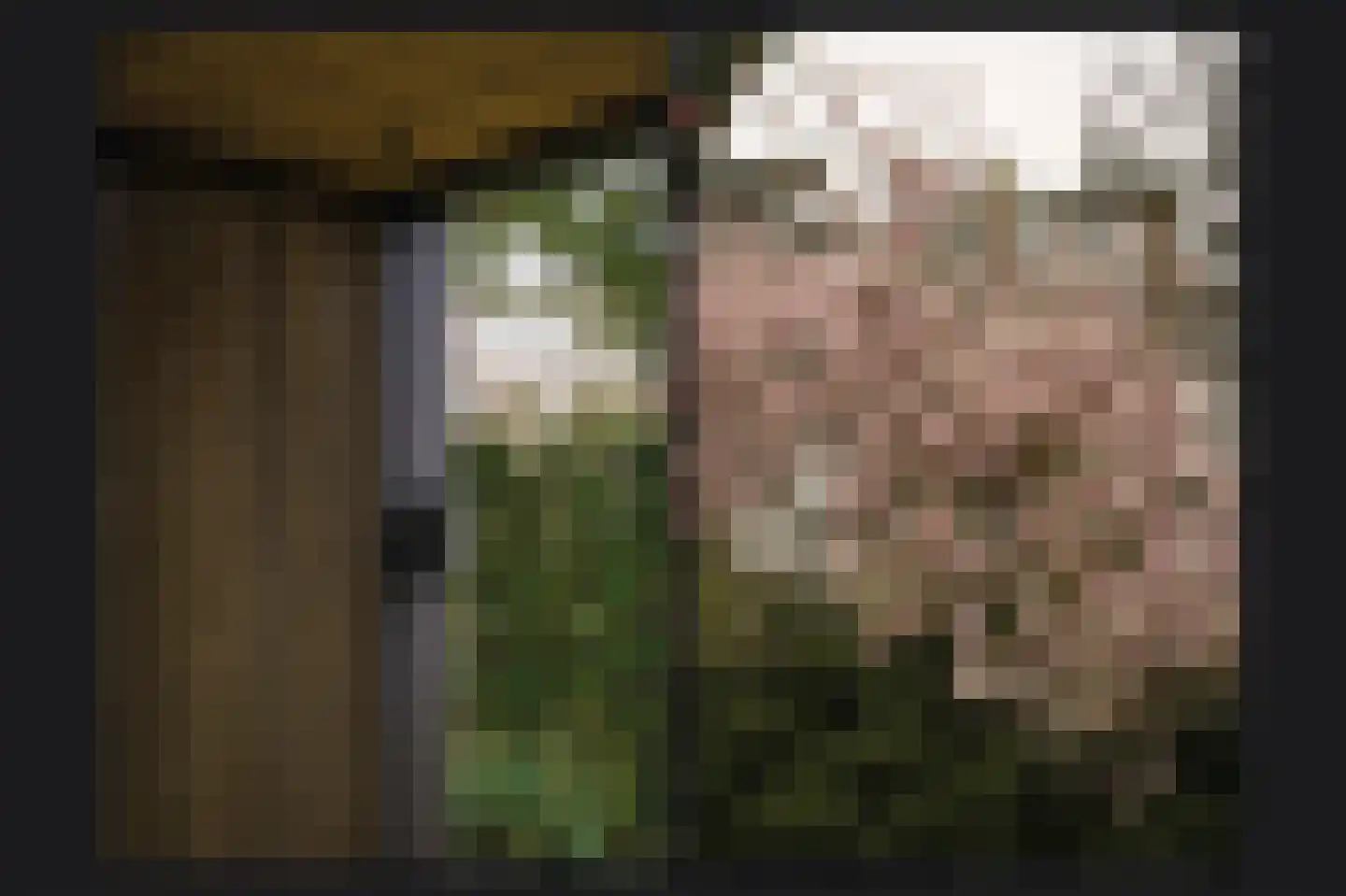 Esdoornlaan 4 Vught thumbnail 49