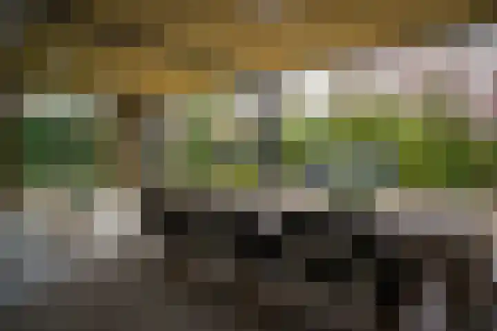 Esdoornlaan 4 Vught thumbnail 53