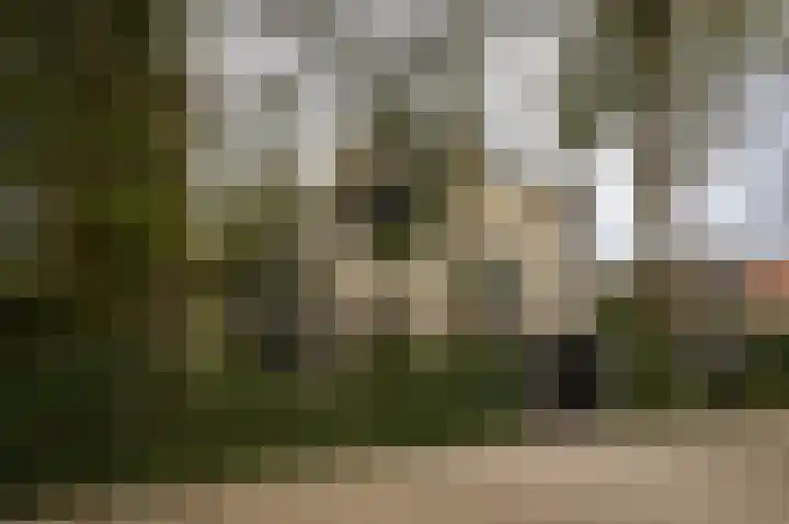 Esdoornlaan 4 Vught thumbnail 55