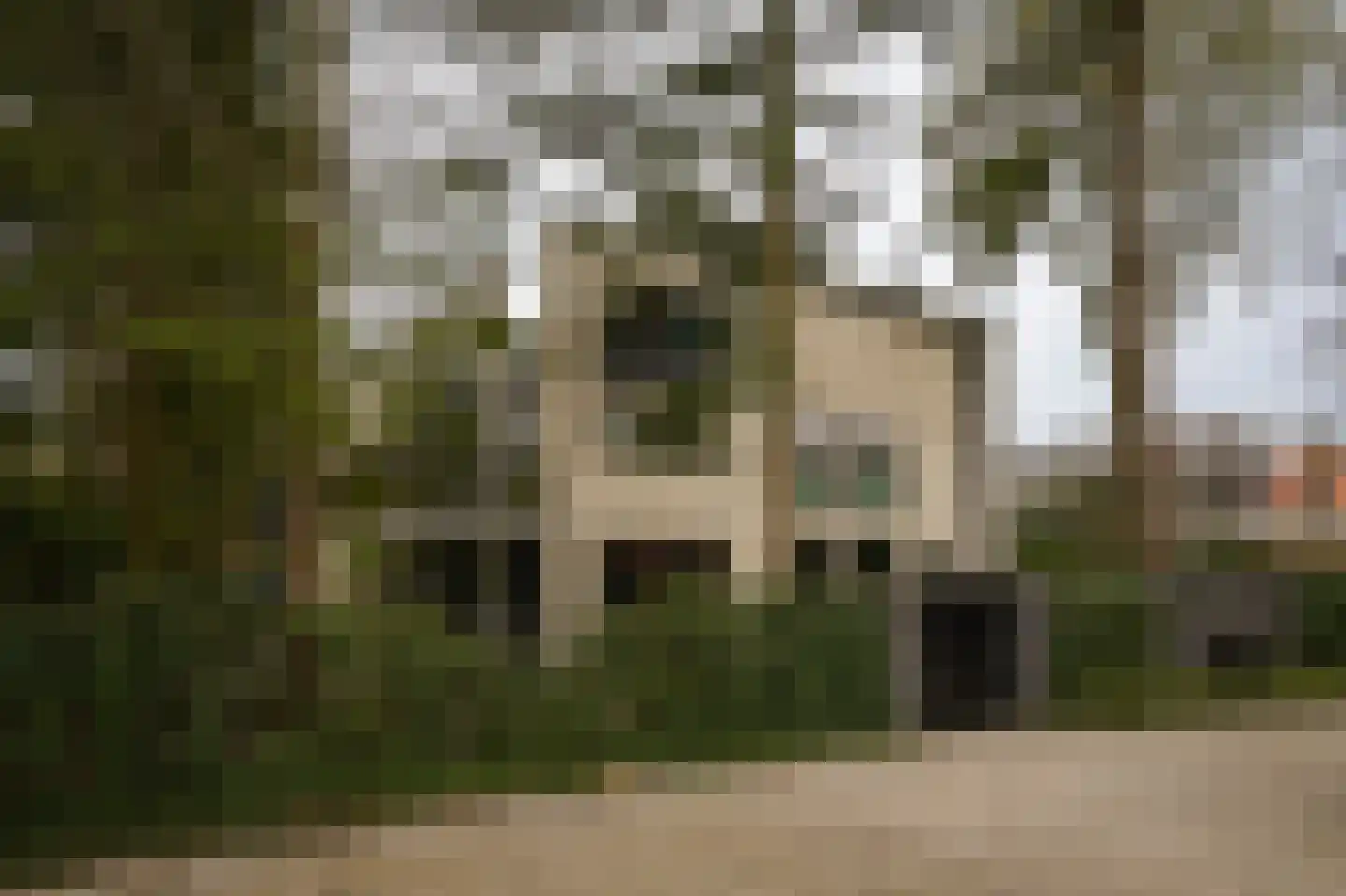 Esdoornlaan 4 Vught thumbnail 55
