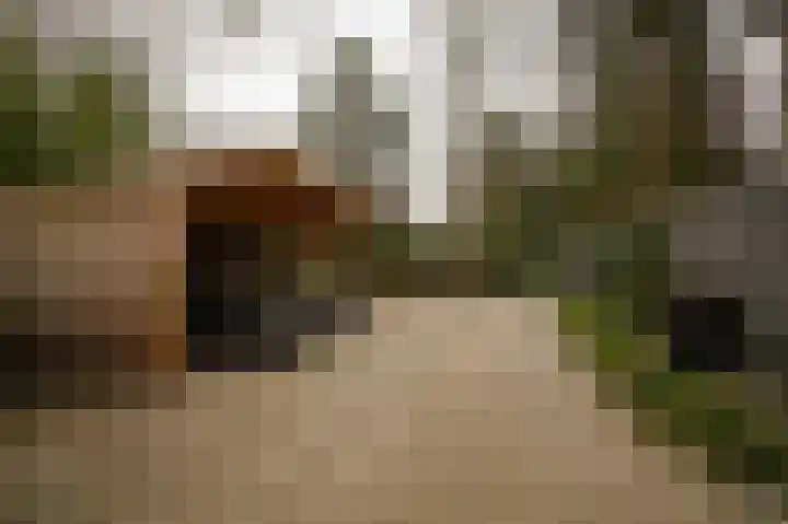 Esdoornlaan 4 Vught thumbnail 56