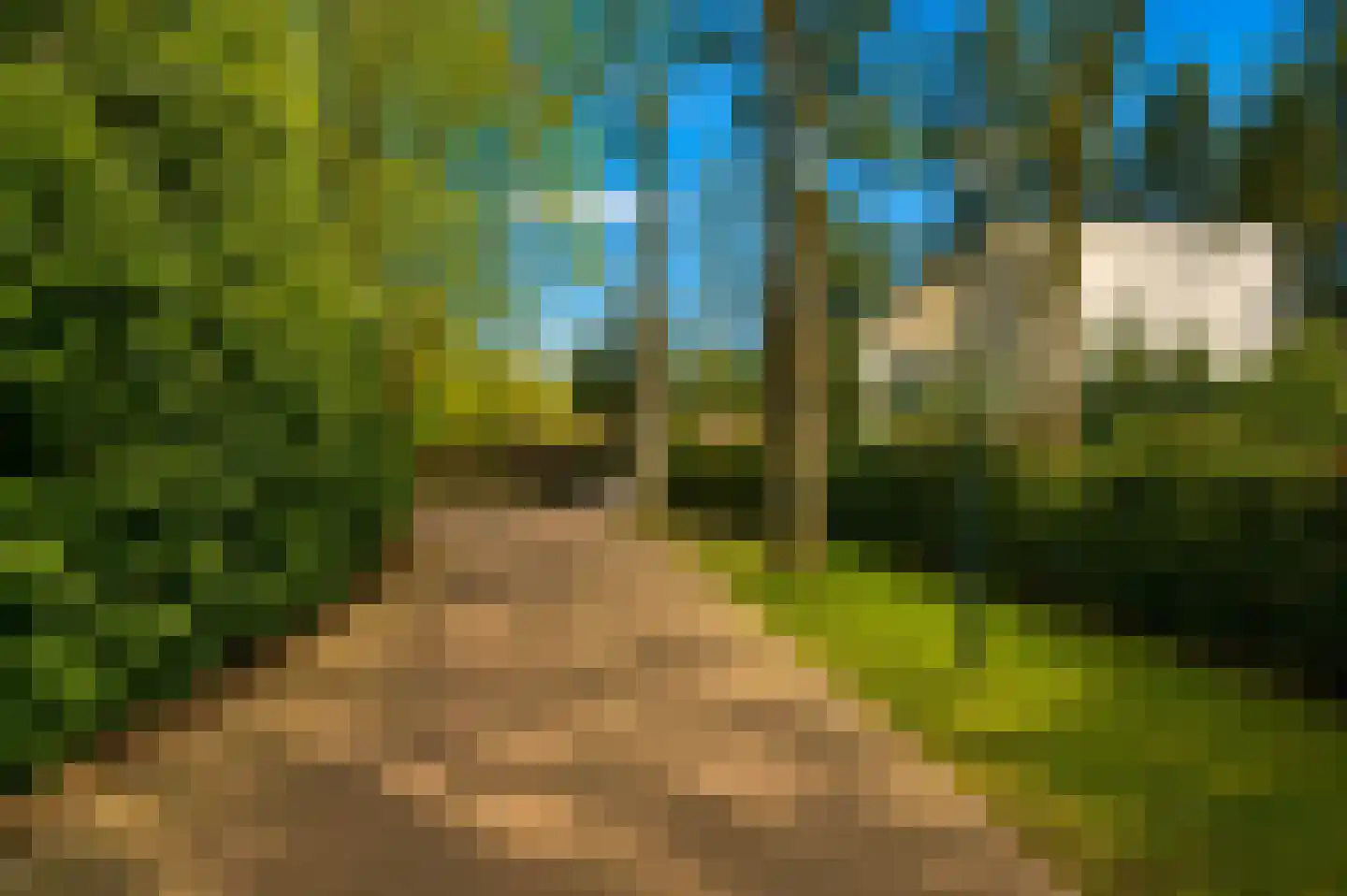 Esdoornlaan 4 Vught thumbnail 56
