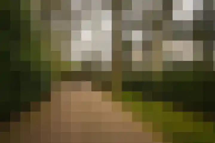 Esdoornlaan 4 Vught thumbnail 57