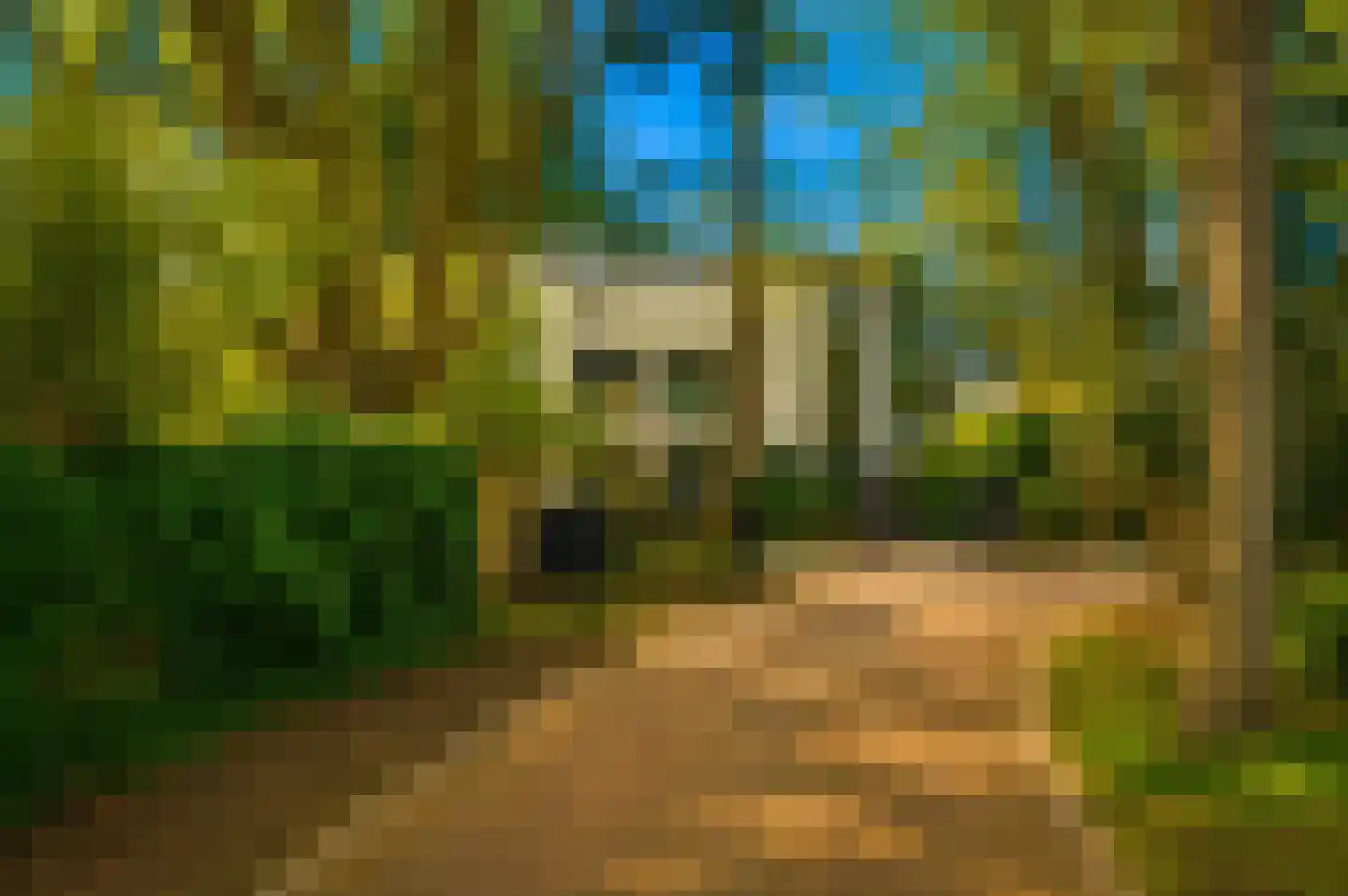 Esdoornlaan 4 Vught thumbnail 57