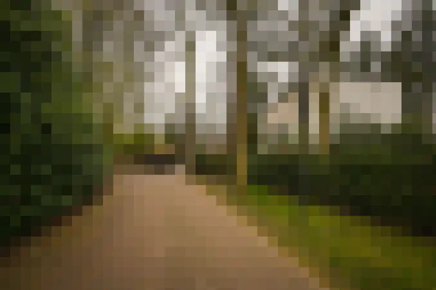 Esdoornlaan 4 Vught thumbnail 57