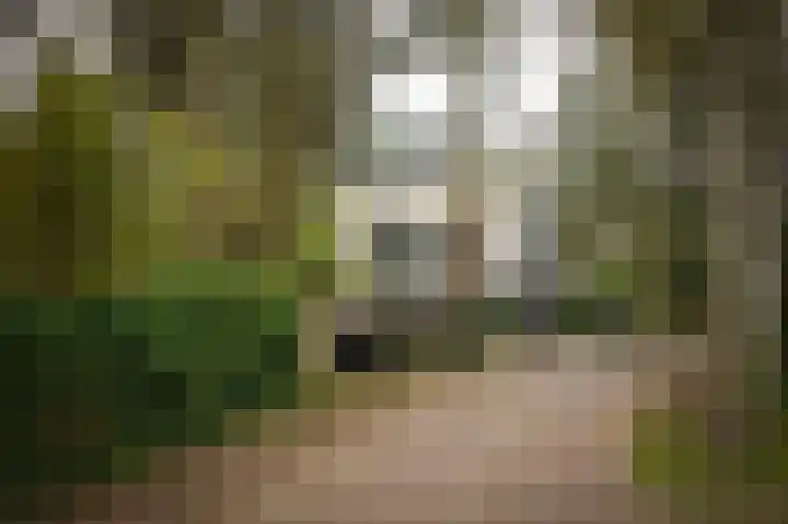Esdoornlaan 4 Vught thumbnail 58