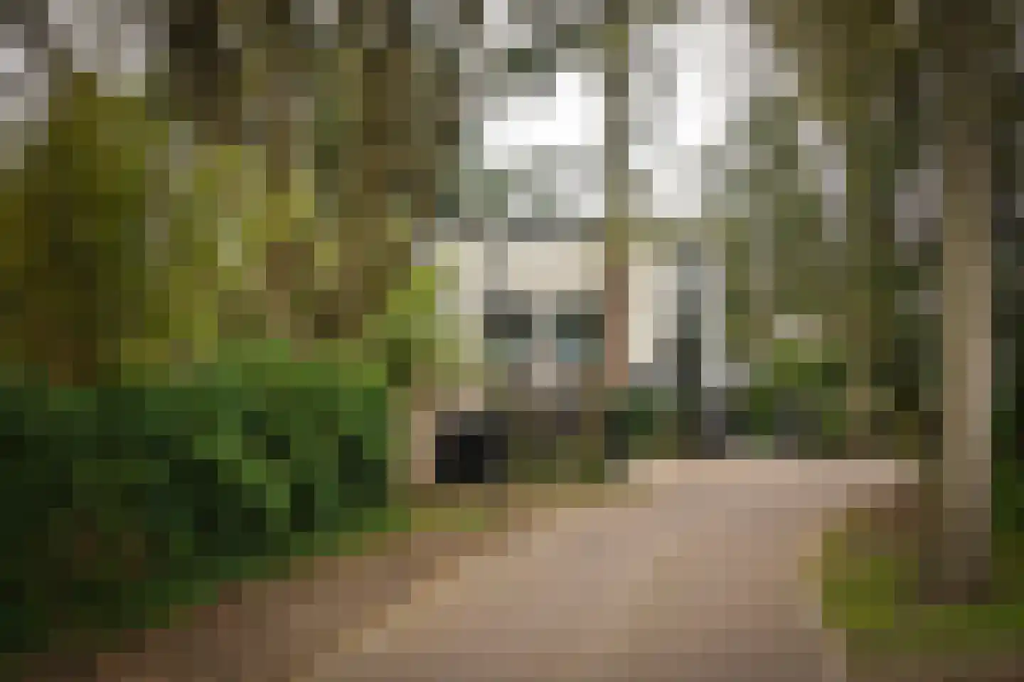 Esdoornlaan 4 Vught thumbnail 58