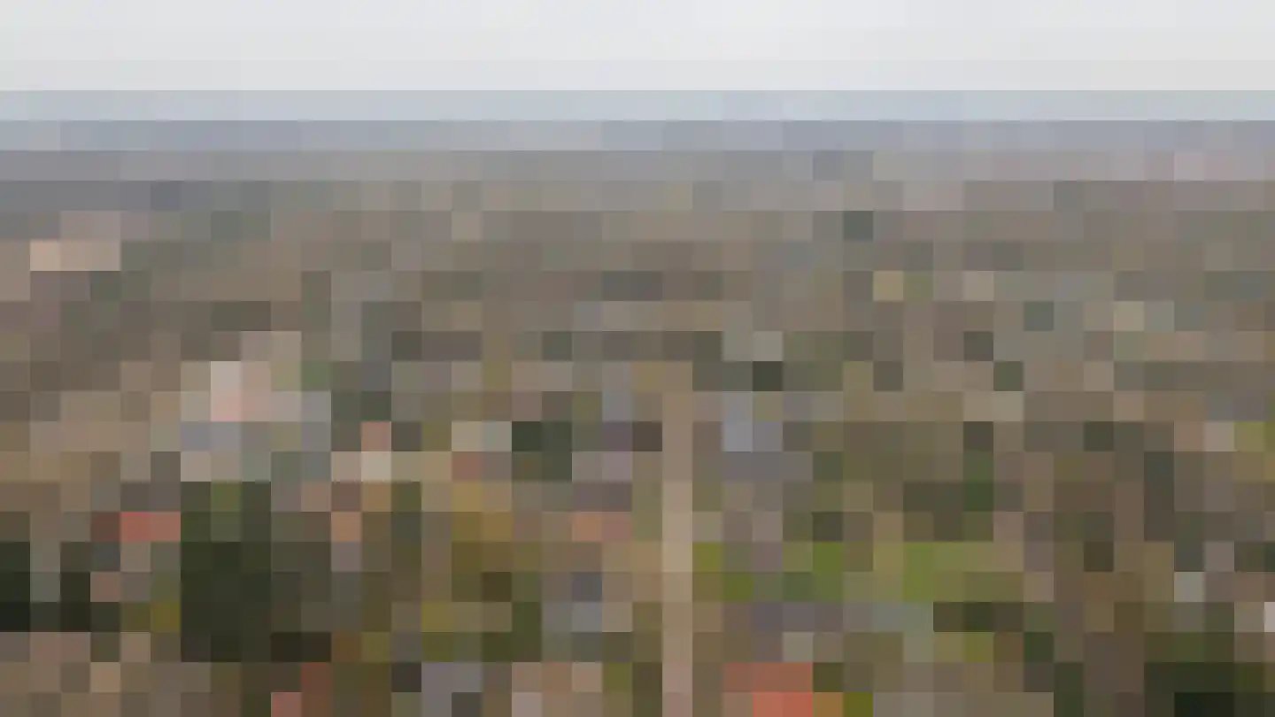 Esdoornlaan 4 Vught thumbnail 61